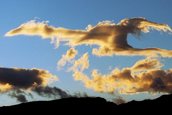 “El agua que mejor sabe es la que se bebe de la mano”, Entrevista Manuel Polls