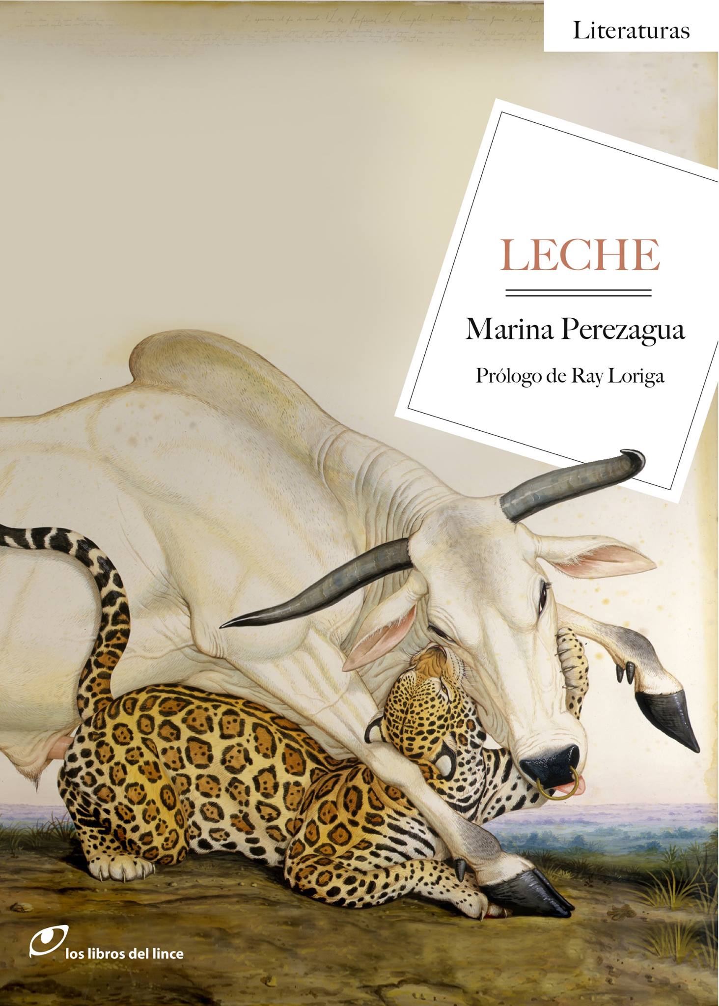 Marina Perezagua, pasión por la vida, la literatura y el mar 