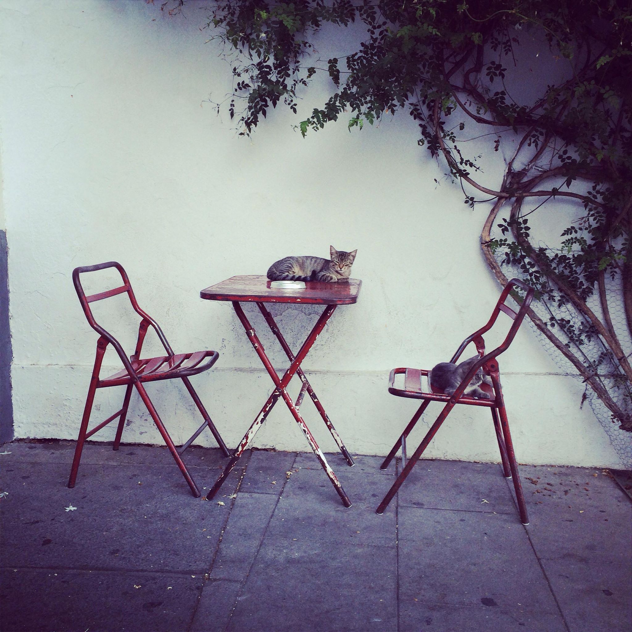 Cuatro terrazas con vistas a un verano inolvidable