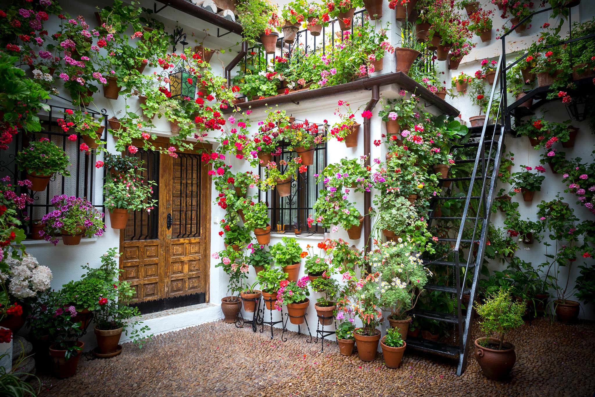 El color y la alegría de los patios de Córdoba