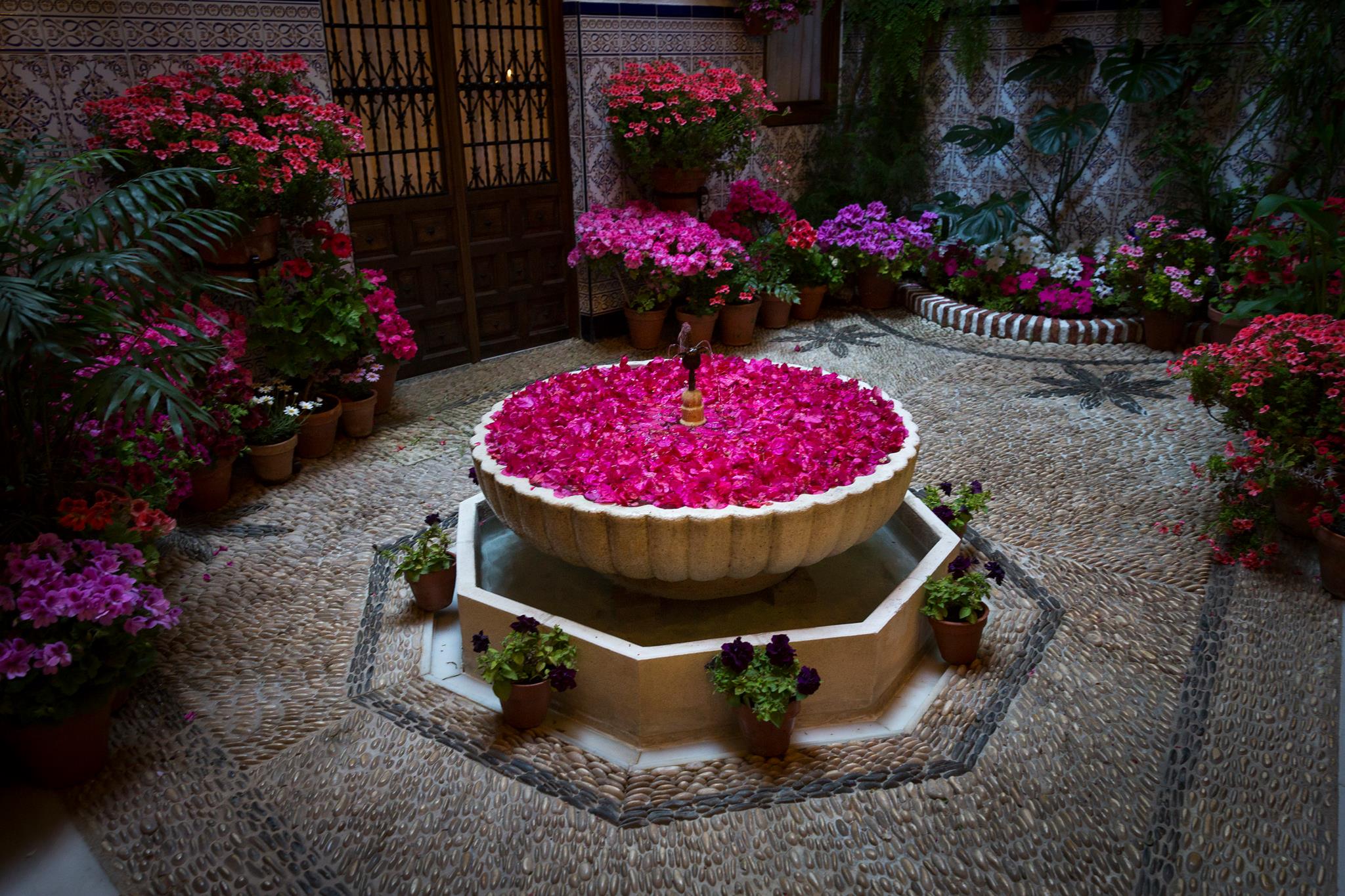 El color y la alegría de los patios de Córdoba