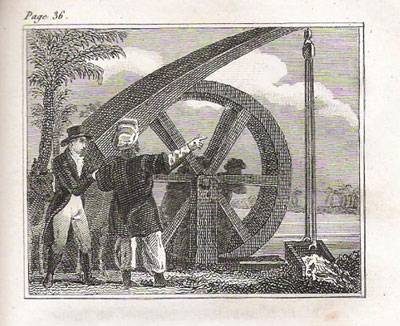 Nuestra agricultura gracias a los Andalusíes