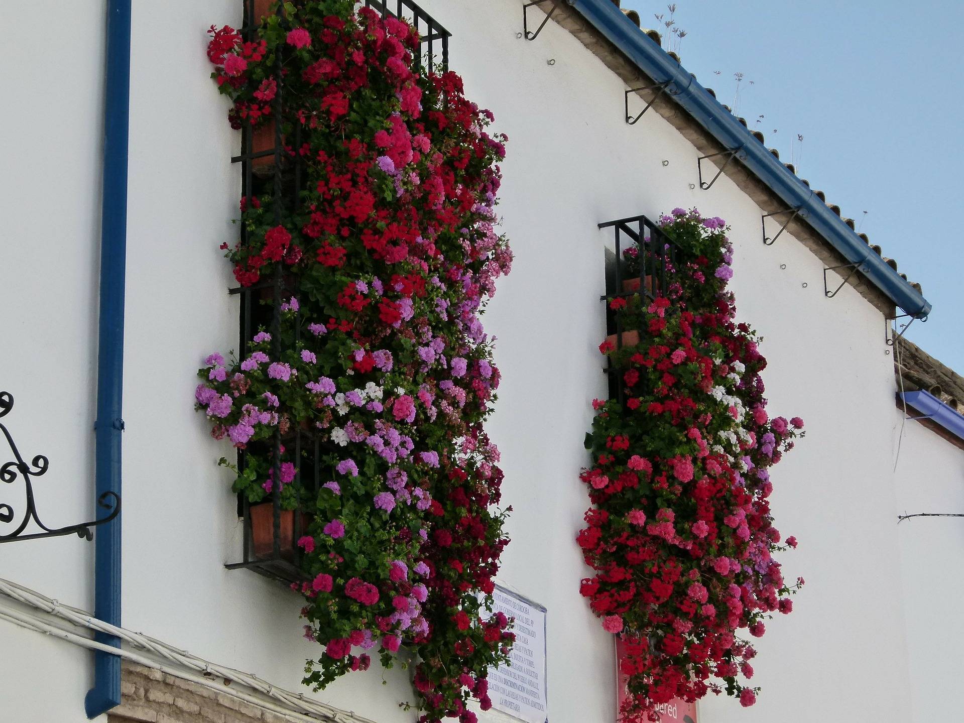 Córdoba y el despertar de la primavera