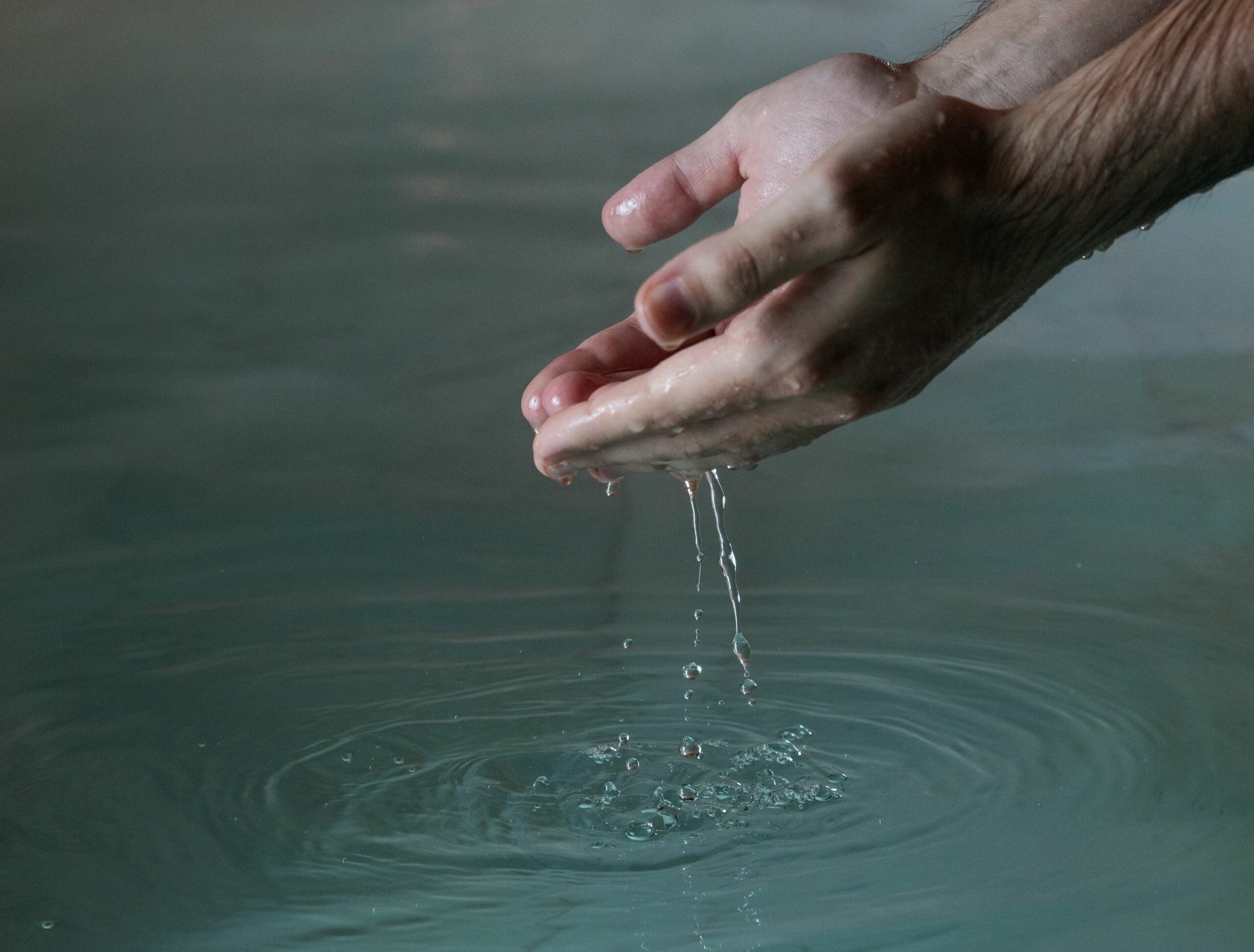 Día Mundial del Bienestar: celebrando la armonía entre cuerpo y alma