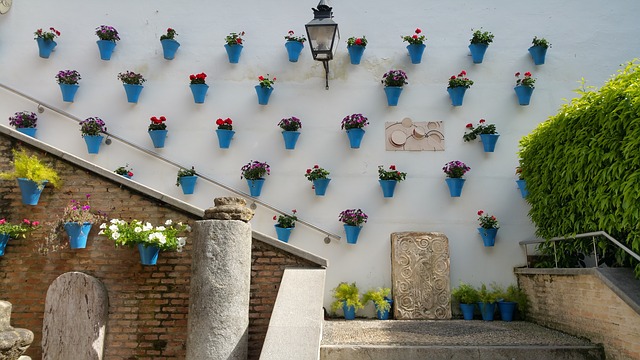  La hospitalidad vive en un patio cordobés