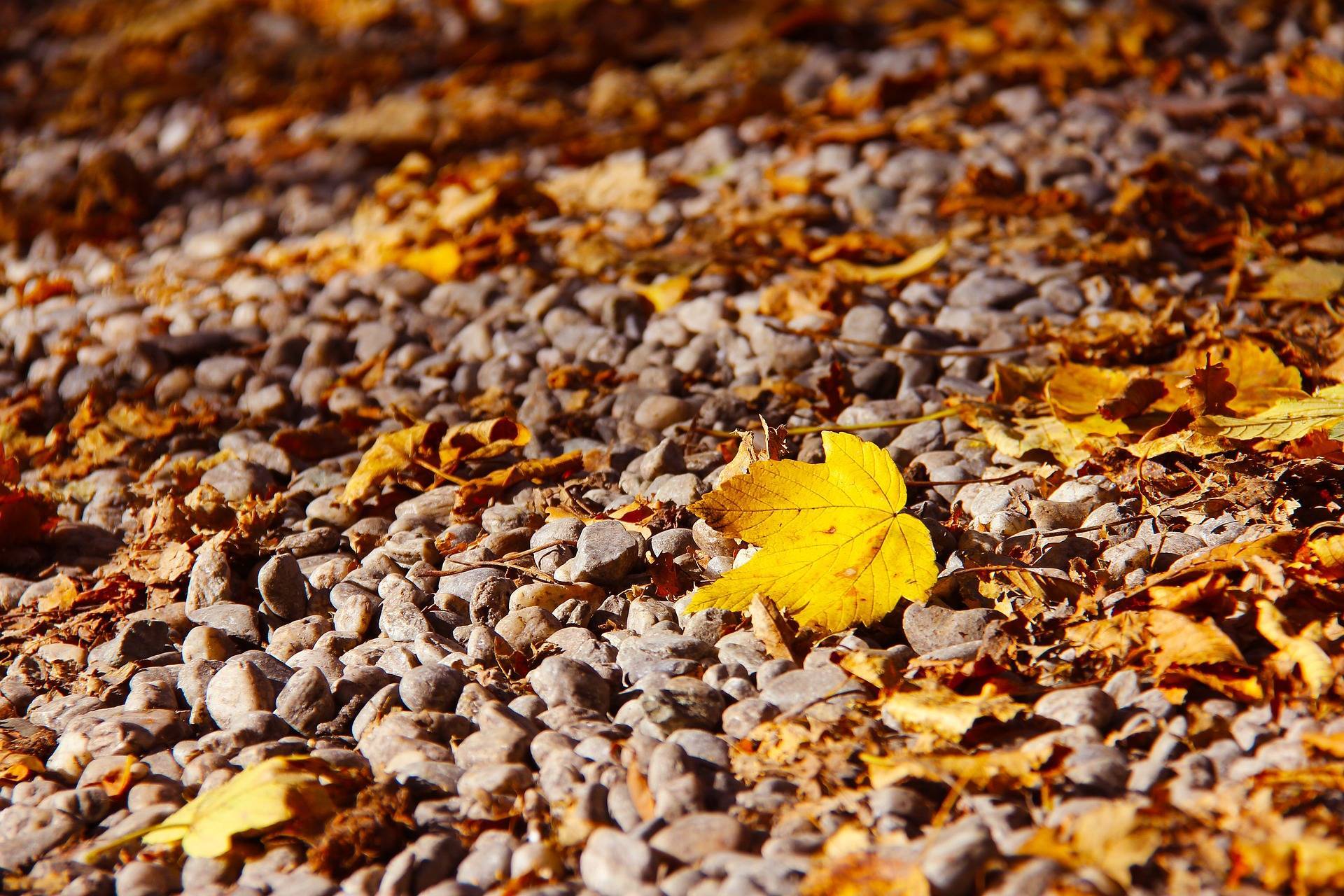 Octubre esconde un regalo