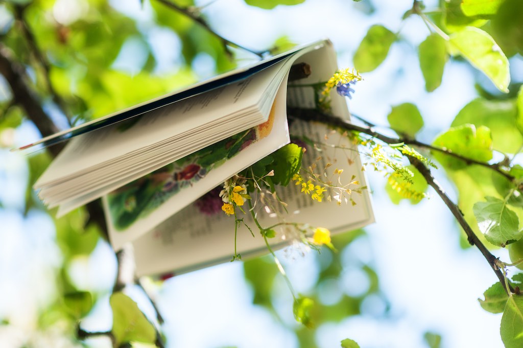Recomendaciones para empezar a leer poesía