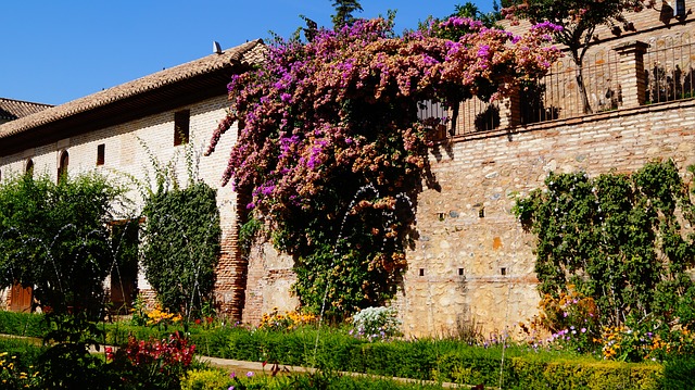La sabiduría oculta en el jardín botánico andalusí