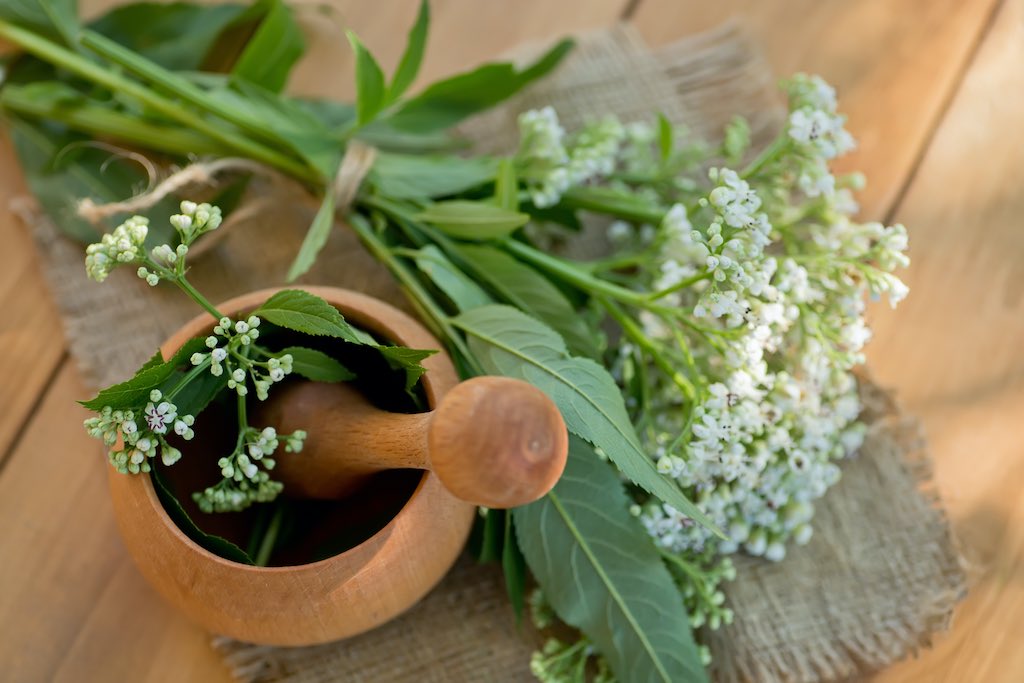 valeriana beneficios