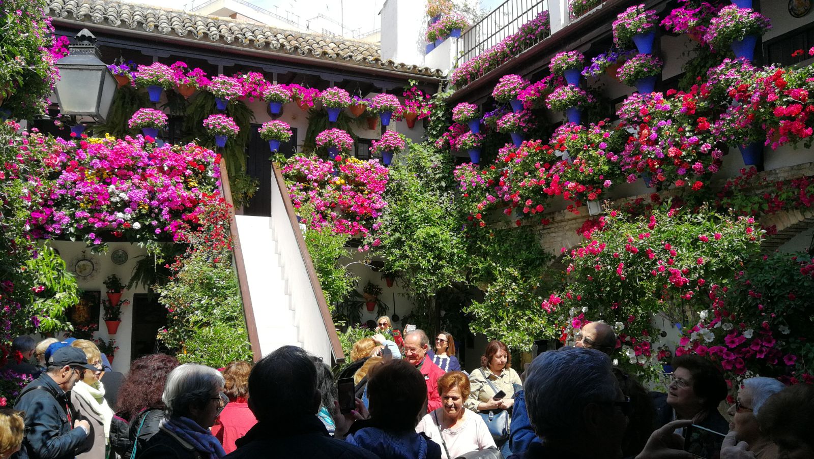 Festival de los Patios Cordobeses, un vínculo entre Córdoba y sus macetas