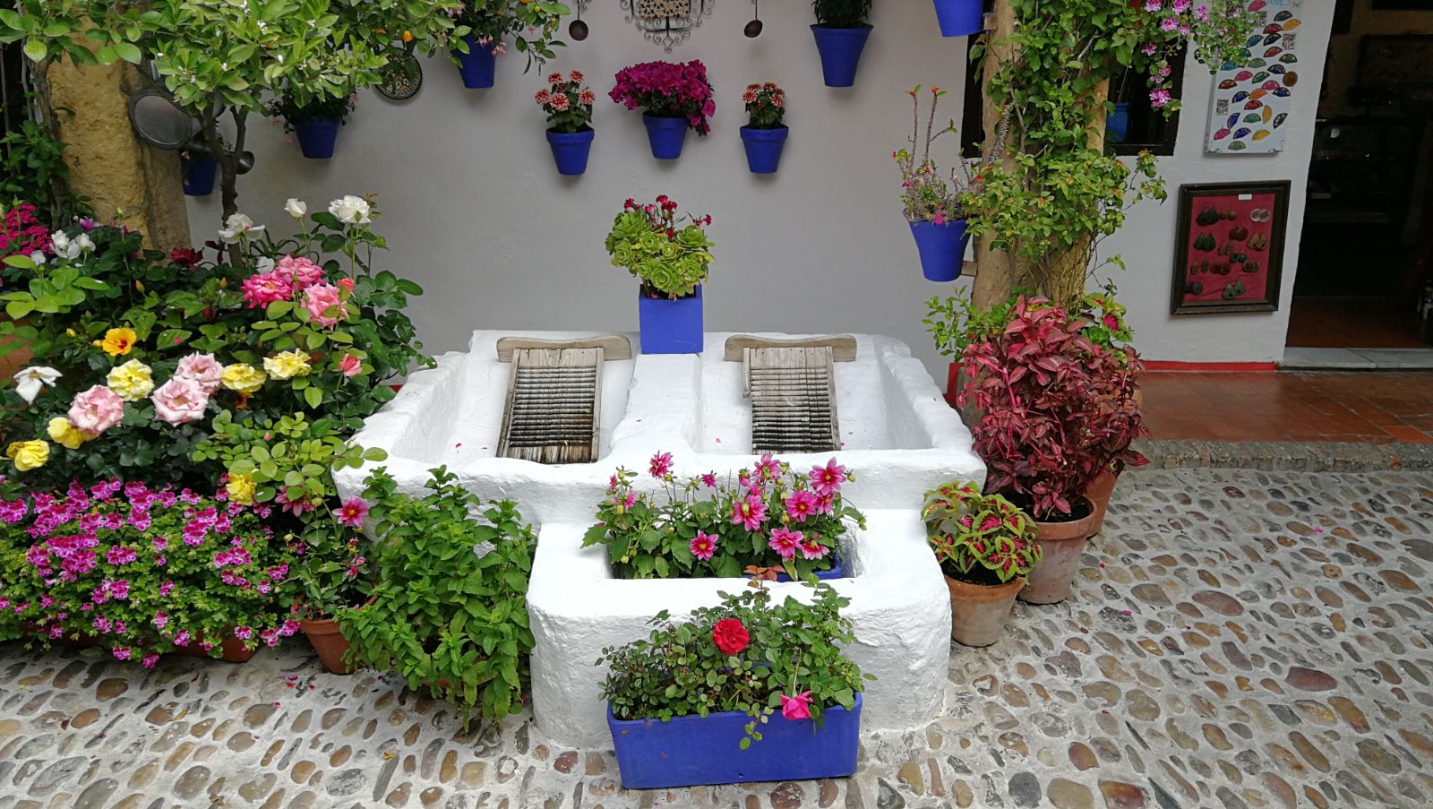 Festival de los Patios Cordobeses, un vínculo entre Córdoba y sus macetas